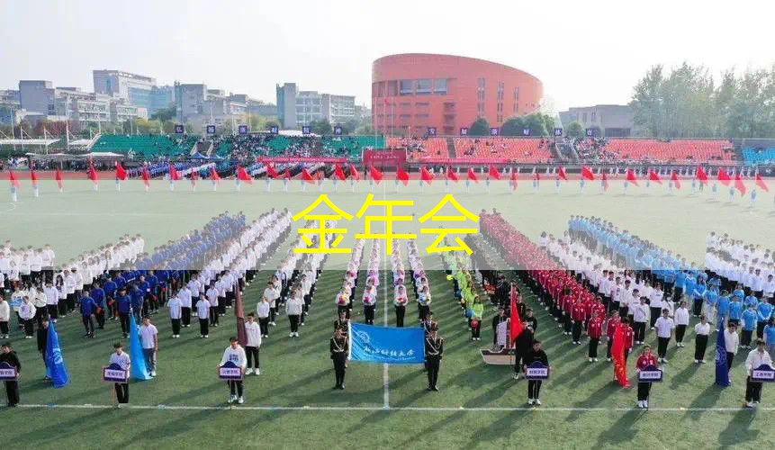 女士网球拍几寸好用一点
