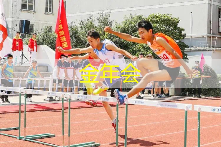 暗夜黑骑士网球拍价格多少