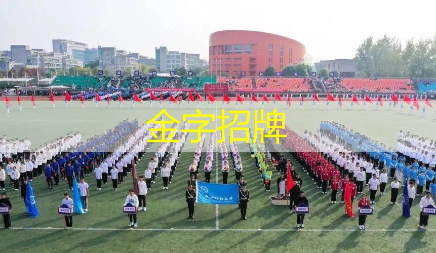 网球拍横线竖线区别在哪